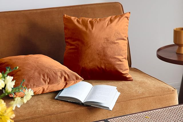 Pagnanno. Set of 2 Soft Velvet Cushion Covers 45x45cm(18x18 Inches) Plain Throw Pillowcases Square Cushion Covers for Chairs,living room,bedroom with Invisible Zipper ((Pack of 2), Burnt Orange))