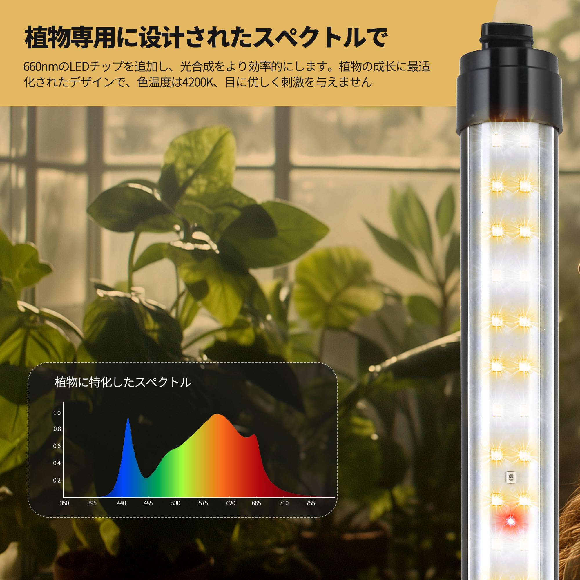 植物育成ライト led 3段タイマー（3/9/12時間）10段階調光 LED 省 Amazon.co.jp: Raygrov 植物育成ライト led 3段タイマー（3/9/12時間
