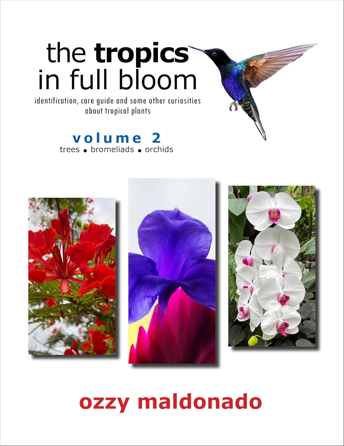 the tropics in full bloom - volume 2: identification, care guide and some other curiosities about tropical plants      [Print Replica] Kindle Edition