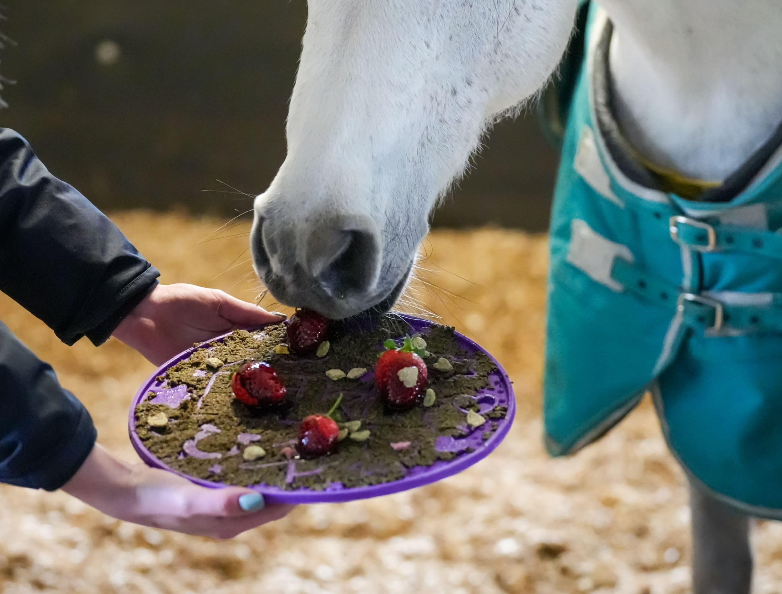 Likit - Labyrinthe pour nourriture de chevaux (Taille unique) (Violet)