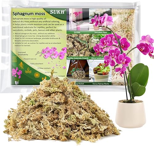 Sukh Musgo de esfagnum para plantas de 20 onzas, musgo de turba de esfagno, musgo seco natural de fibra larga para orquídeas, suculentas, disponible en Yaxa Mexico