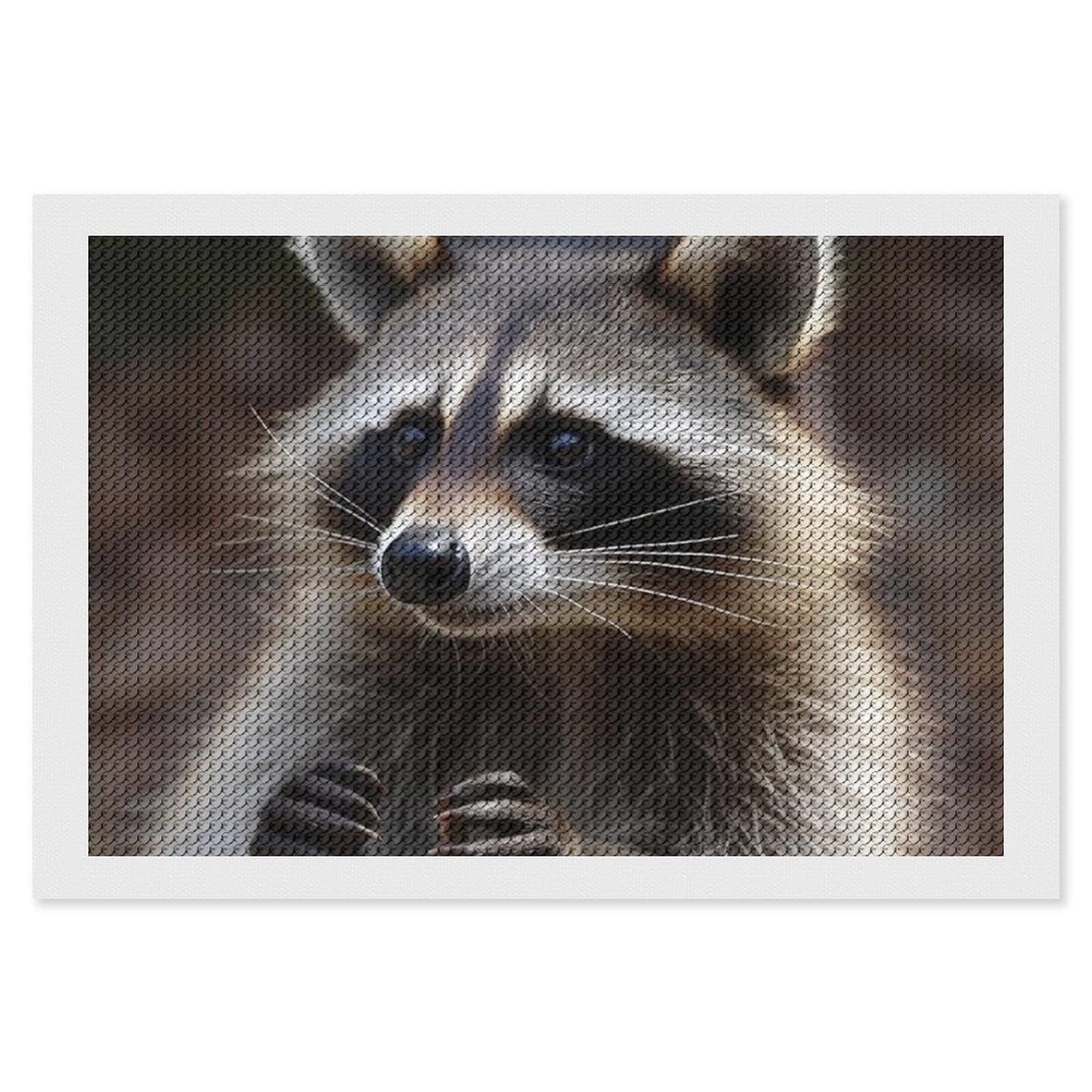 Raccoon Diamond Art Kits for Adults, DIY 5D Diamonds Painting Kits for Beginner, Round Full Drill Diamond Dots Painting, 8"x12" Diamonds Pictures Gem Art and Crafts Wall Decor