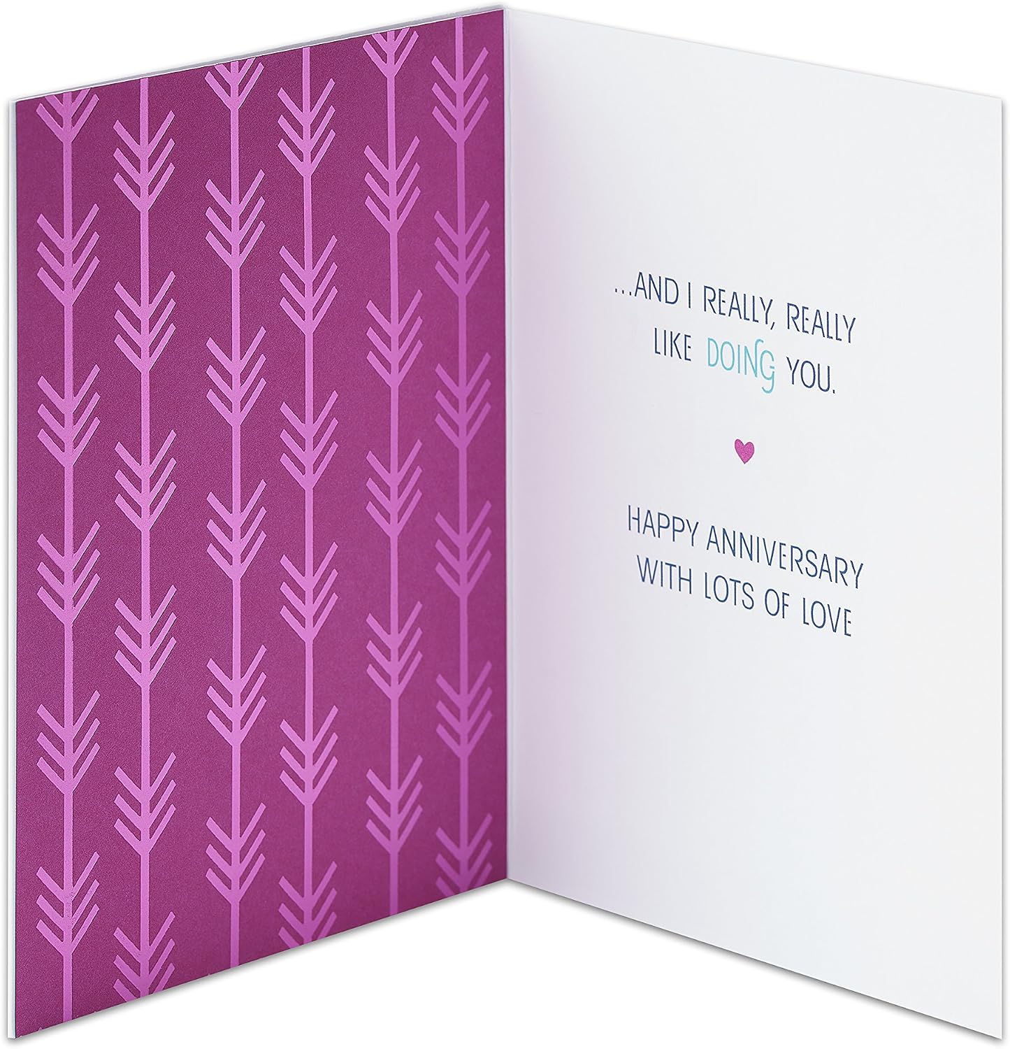 American Greetings Funny Anniversary Card (I Like Doing Anything With You)