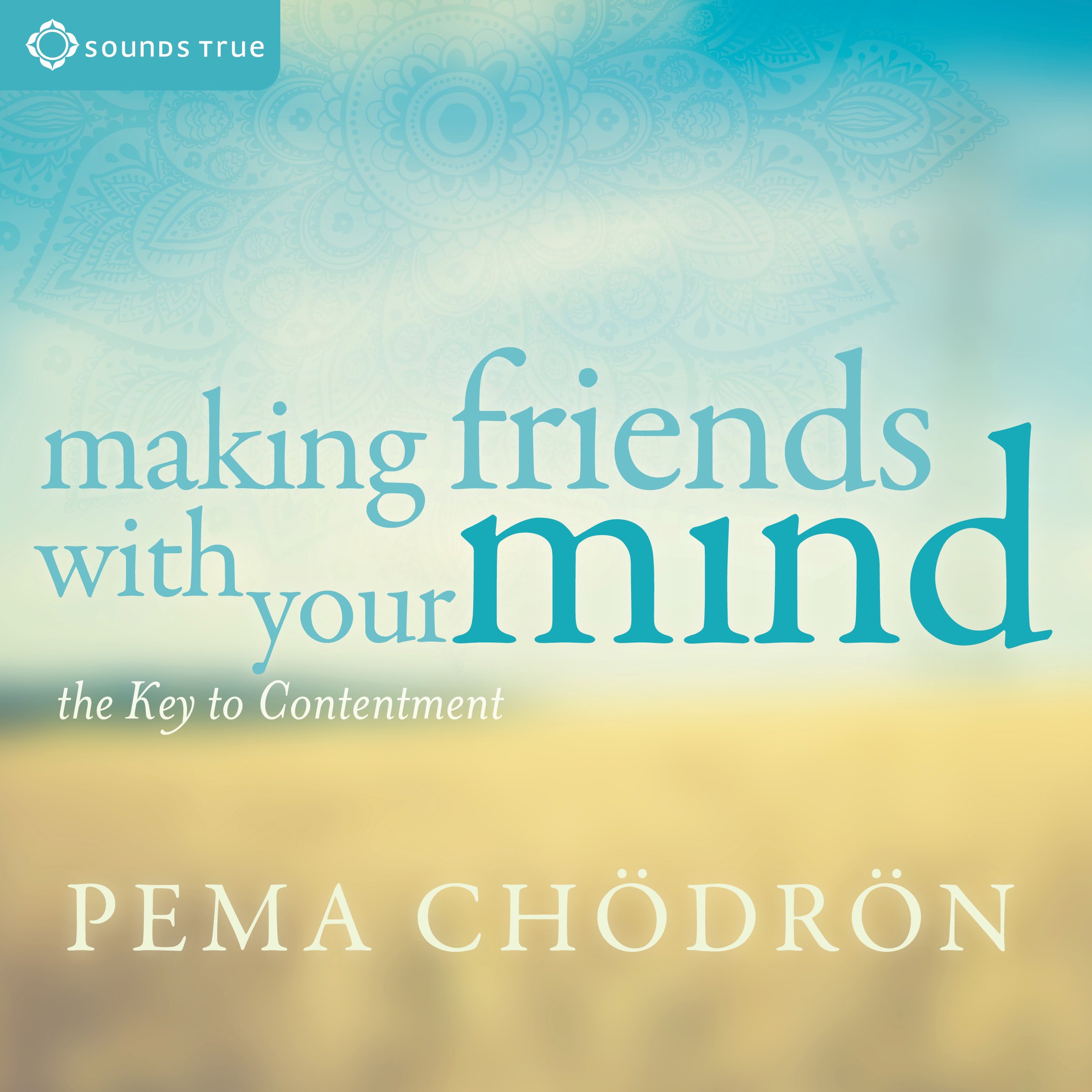 Cover art for Making Friends with Your Mind