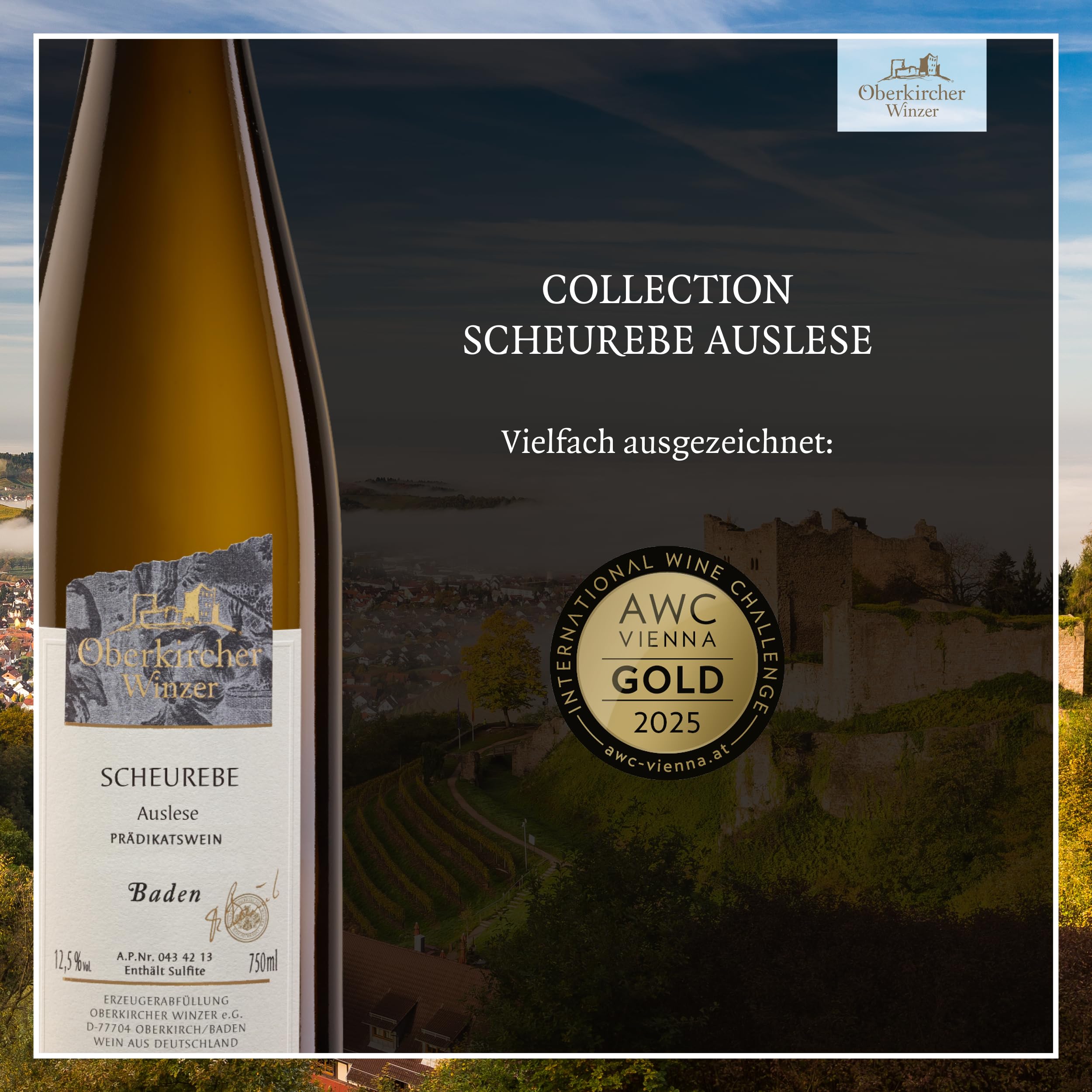 Oberkircher Winzer Scheurebe Auslese - 92,1 PUNKTE GOLD 2025 AWC Vienna - COLLECTION OBERKIRCH - erfrischende Säure mit viskoser Fruchtsüße, Badischer Wein, Anbaugebiet Ortenau (3 x 0,375l)