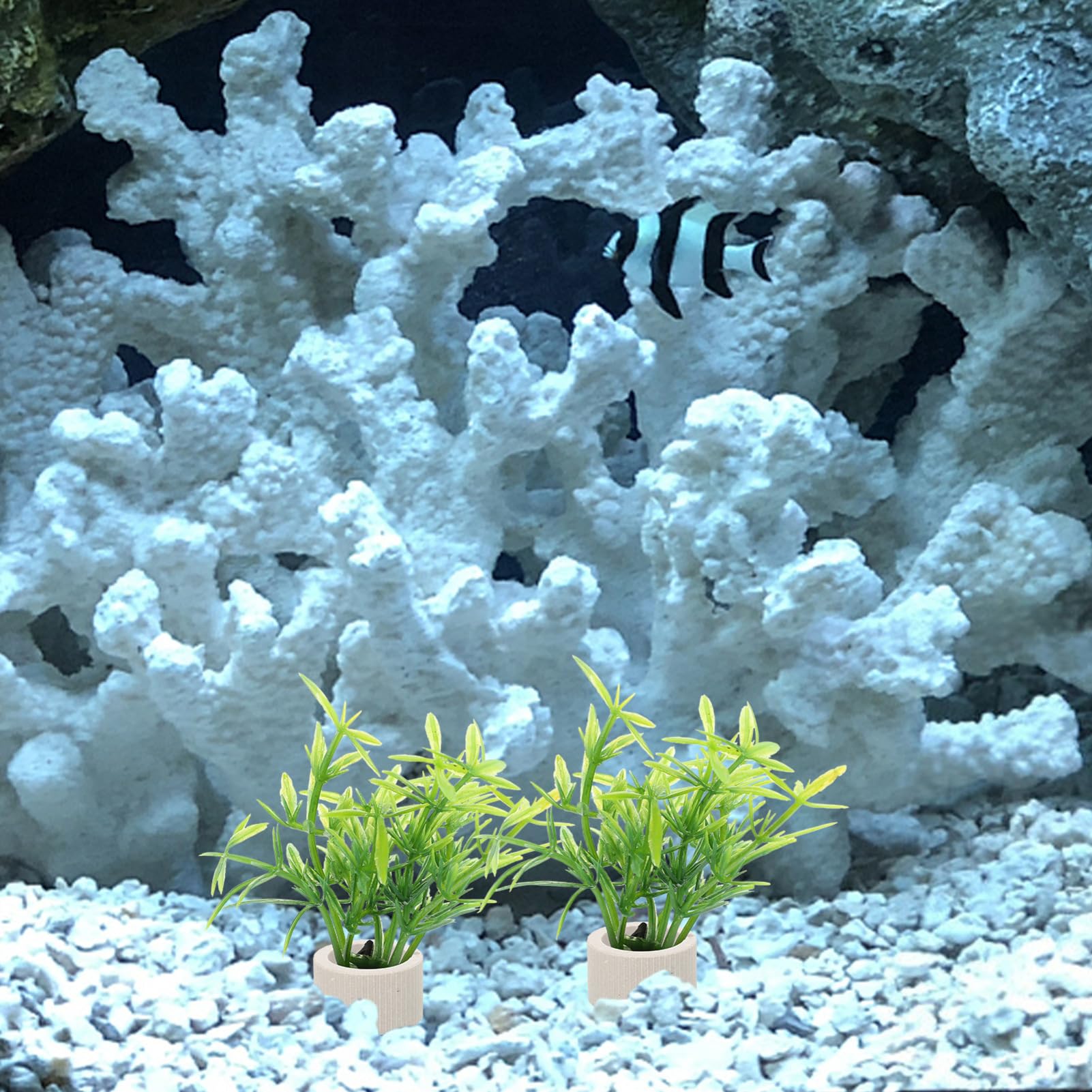 YARNOW 4 Juegos Taza De Plantación Acuática Ancla Pecera Portátil Agua Macetero De Acuario Aire Titulares Calentador Artificial Tanque Cerámica 10 Uds * 4