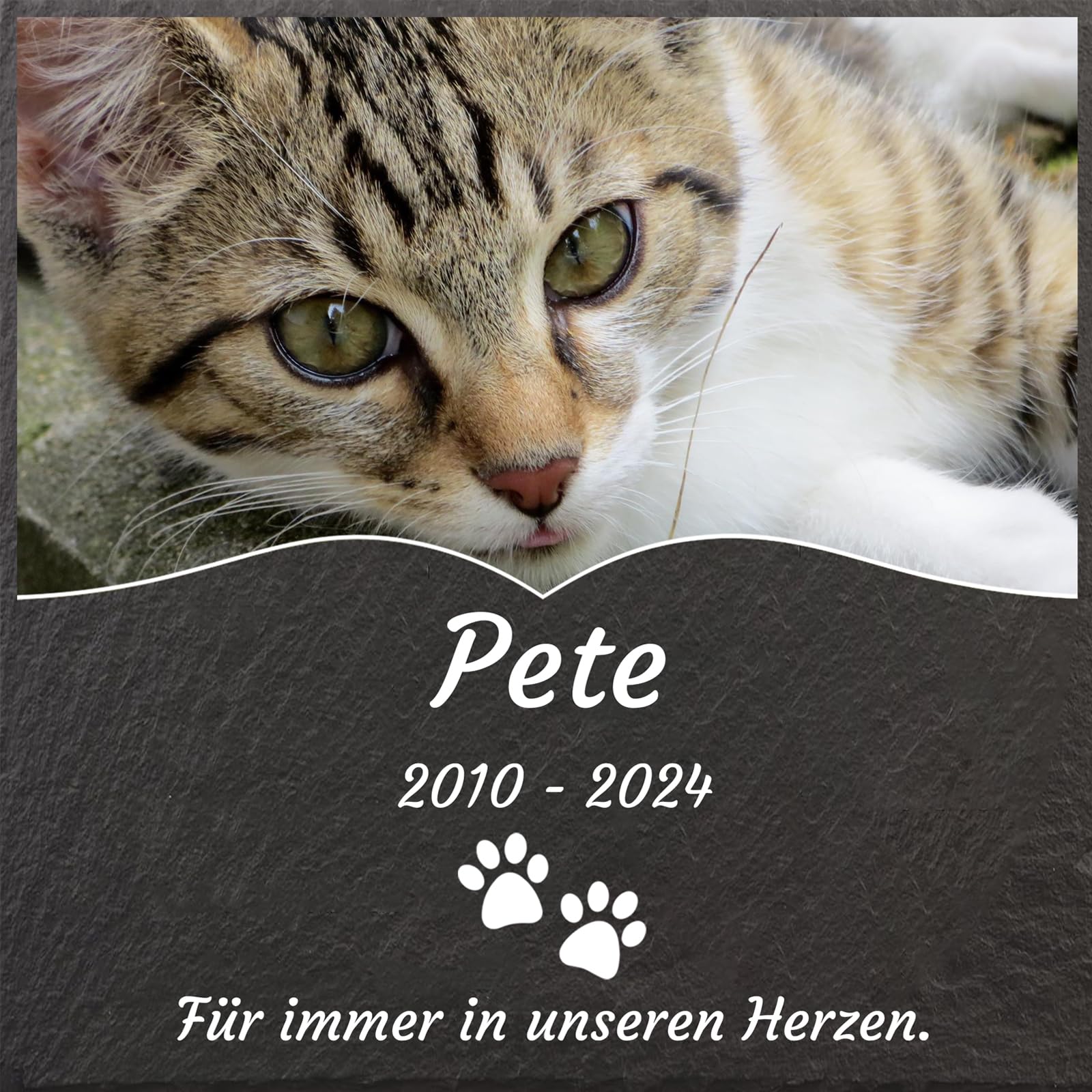 Jodimitty Pet Memorial Plaques Grave Stones Personalised Color Photo & Name & Life Span & Message, Cat Dog Memorial Plaque for Garden Graves Indoor Keepsakes, Square, 15cm/20cm