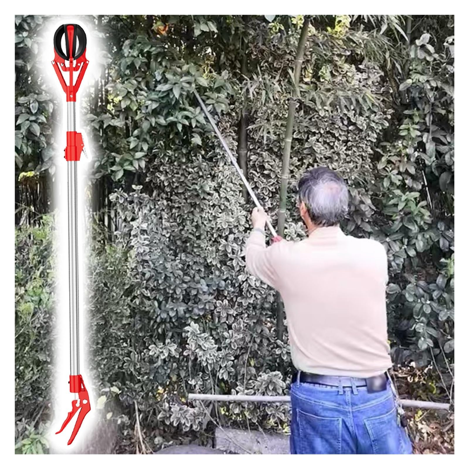 Strumento raccogli frutta, asta estensibile leggera per raccogliere avocado, arance, limoni dagli alberi, bastone professionale