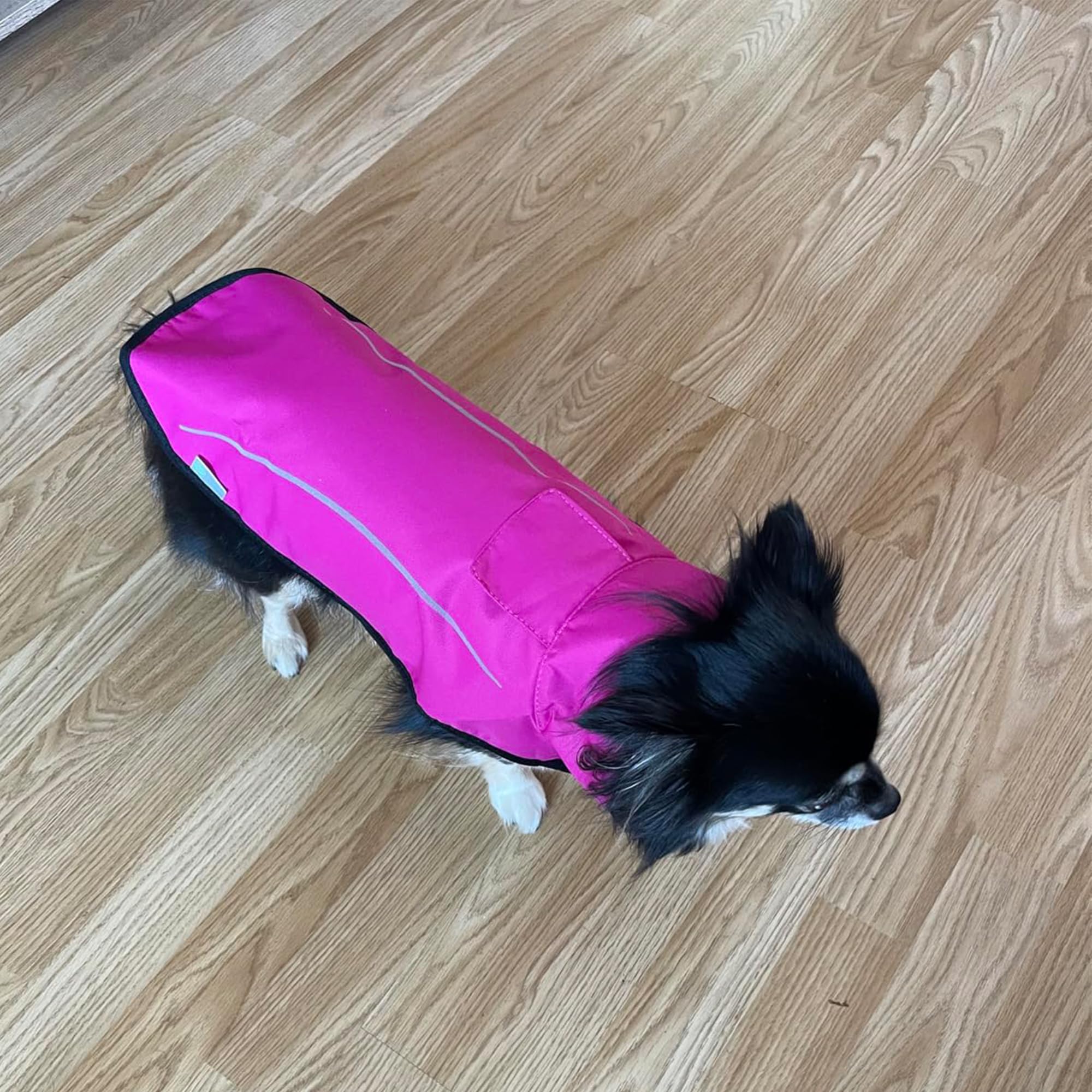 Mile High Life Impermeabile per cani | Abbigliamento per animali domestici regolabile | Giacca antipioggia leggera con striscia riflettente | Chiusura facile da inserire, rosa acceso, media