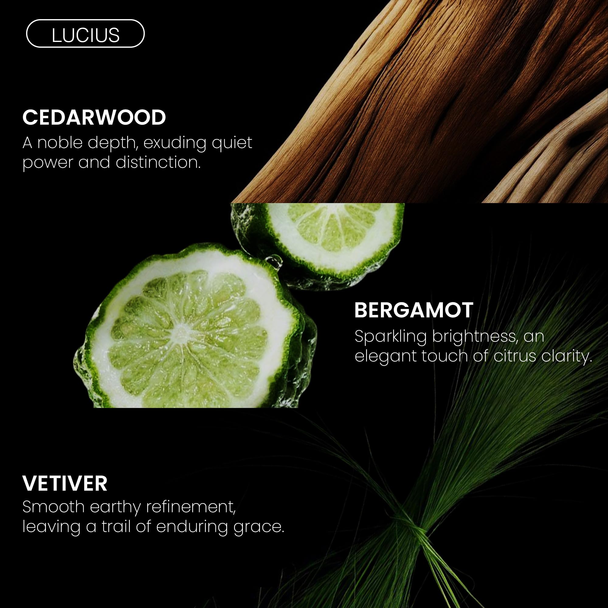 Fragrance Du Bois Lucius Parfum