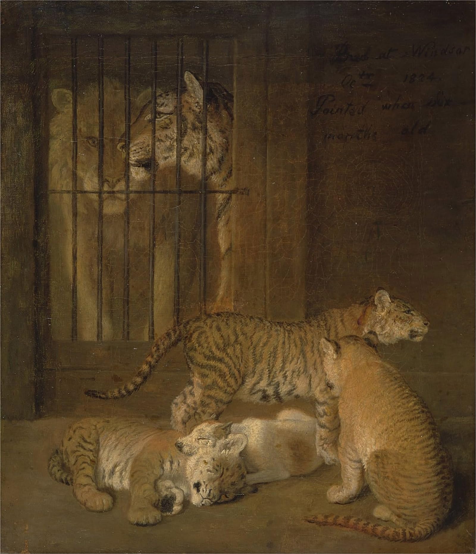 ARTXLXXBN Famous Art Print Poster Vintage Wall Art Group of Whelps Bred Between a Animal and a Tigress by Jacques Laurent Agasse Canvas Art Poster for Home Decor 60x90cm