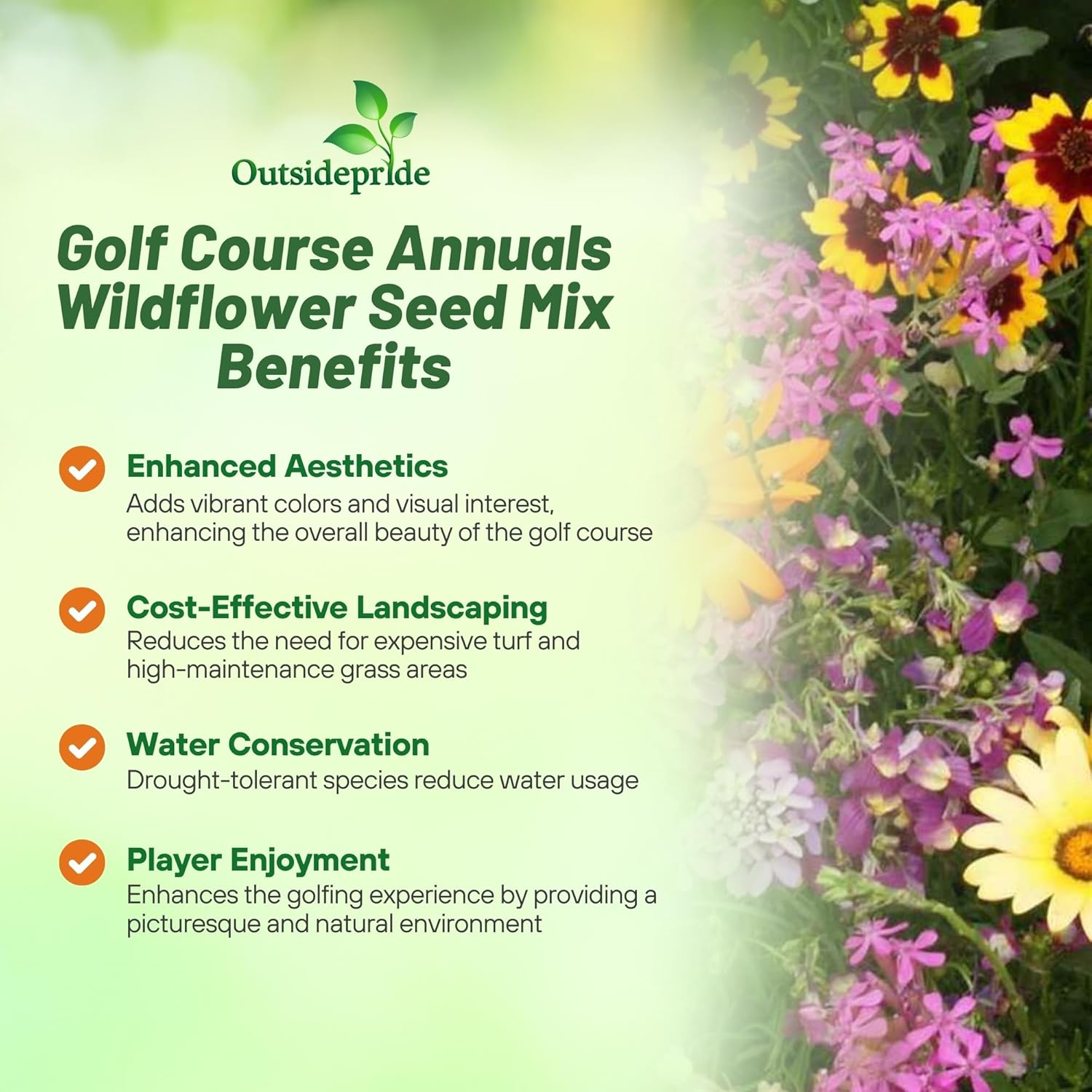 Outsidepride Golf Course Wildflower Seed Mix - 1 lb Premium Blend of Annual Wildflower Seeds for All States - Ideal for Flower Beds, Putting Greens, Tees, Ponds, Lakes in USDA Zones 3-10