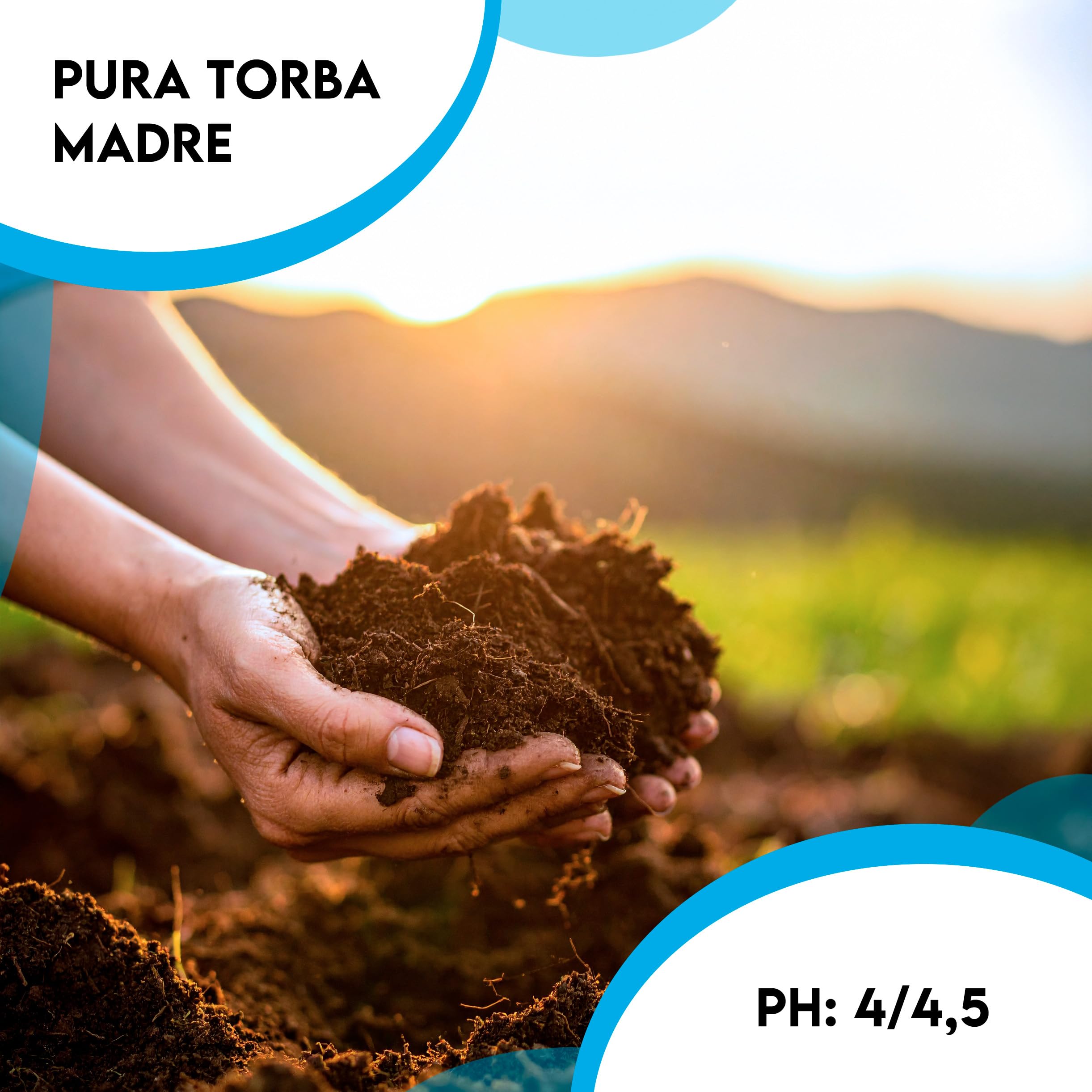 ZOMA Torba acida di sfagno nera Ph 4,5 qualità Superiore Sacco 35l, torba per piante estratta dalle torbiere baltiche, Ideale pura o in mescola con tutti i substrati - Made in Italy