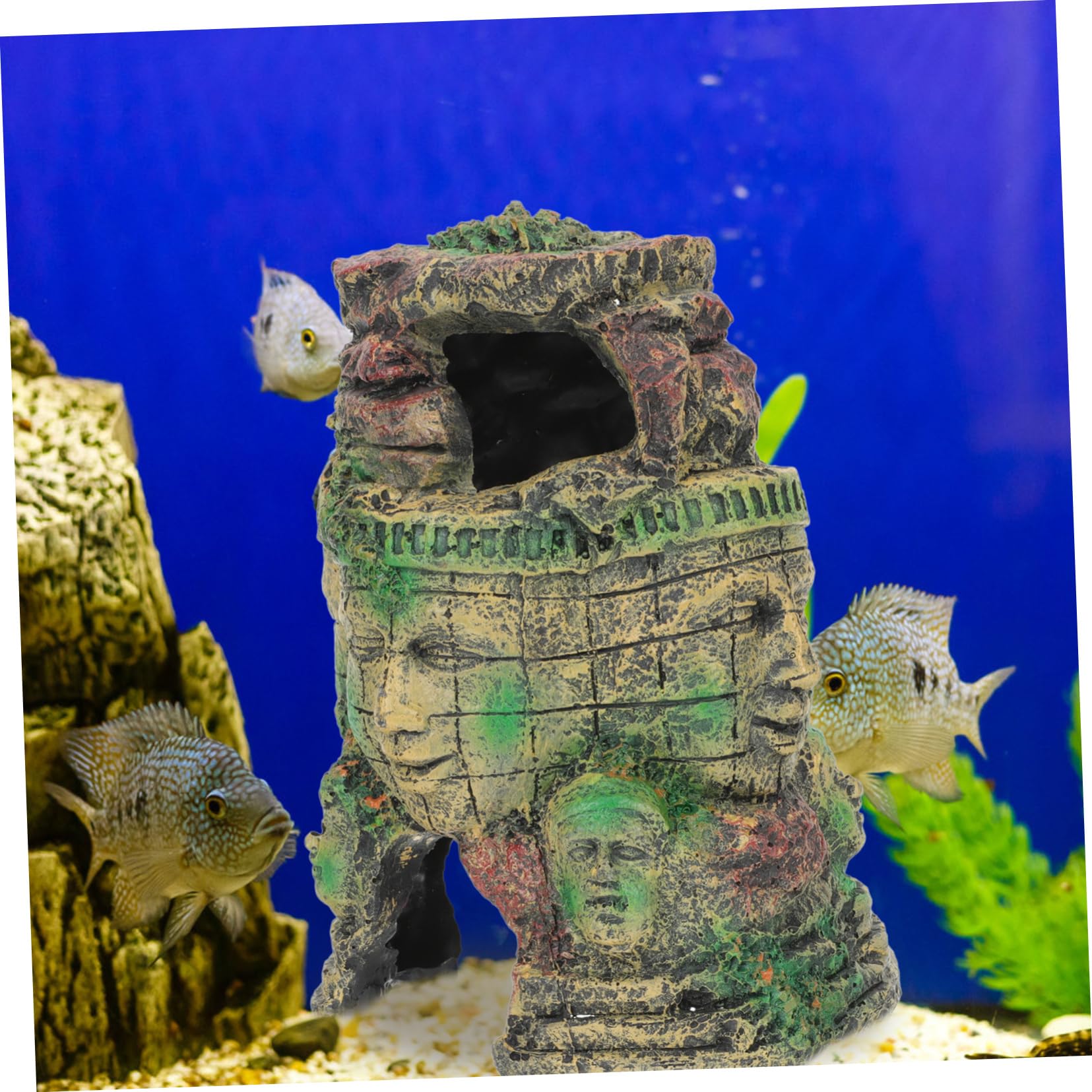 Suplemento para Terrarios Decoración De Resina Cueva para Reptiles Vívidos
