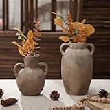 Ninehaoou 2 Pack Ceramic Rustic Farmhouse Vase with 2 Handles, 7.3