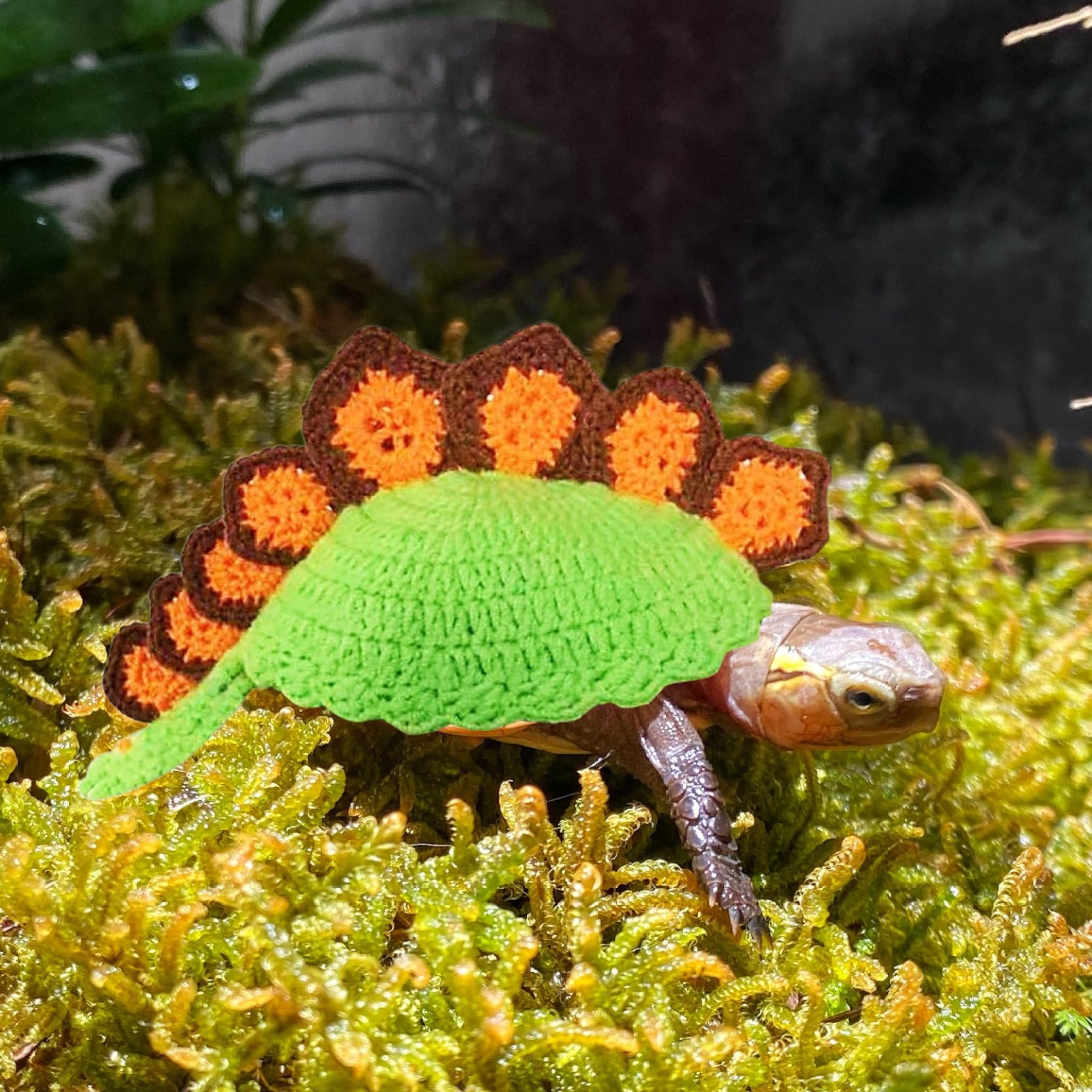 Yeory Crochet Sweater for Pet Turtle, Winter Knitted Green