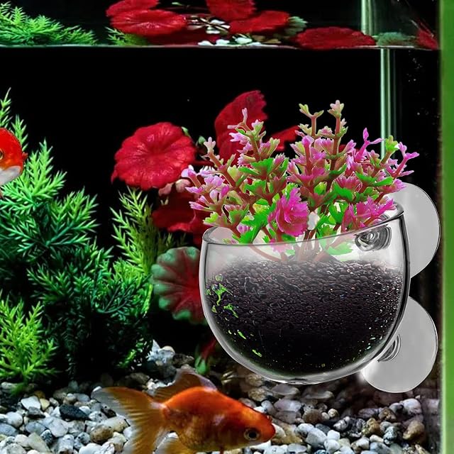 Foto 2 de 8 de Macetero con Ventosa, Soporte para Plantas de Acuario Transparente
