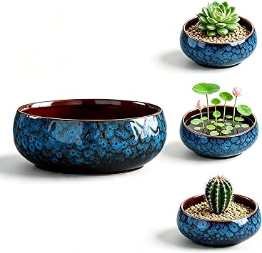 Lotus Bowl Planter, Glazed Ceramic Hydroponic Pot for Indoor Use