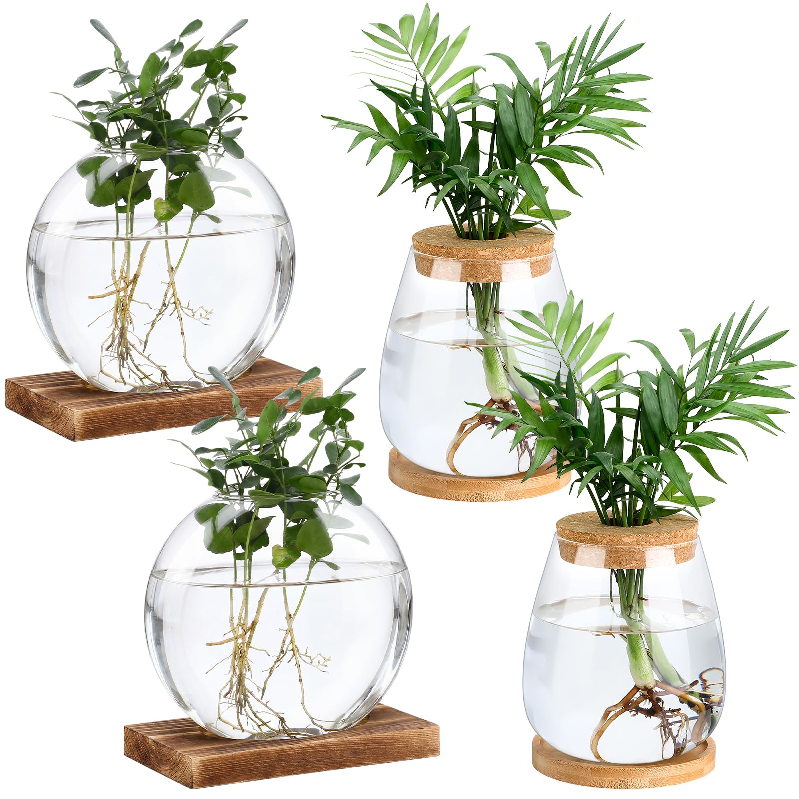 Layhit Lot de 4 stations de propagation séparées pour plantes de bureau, terrarium, vase en verre avec couvercle en bois et support en bambou pour la culture hydroponique, la maison, le bureau, la