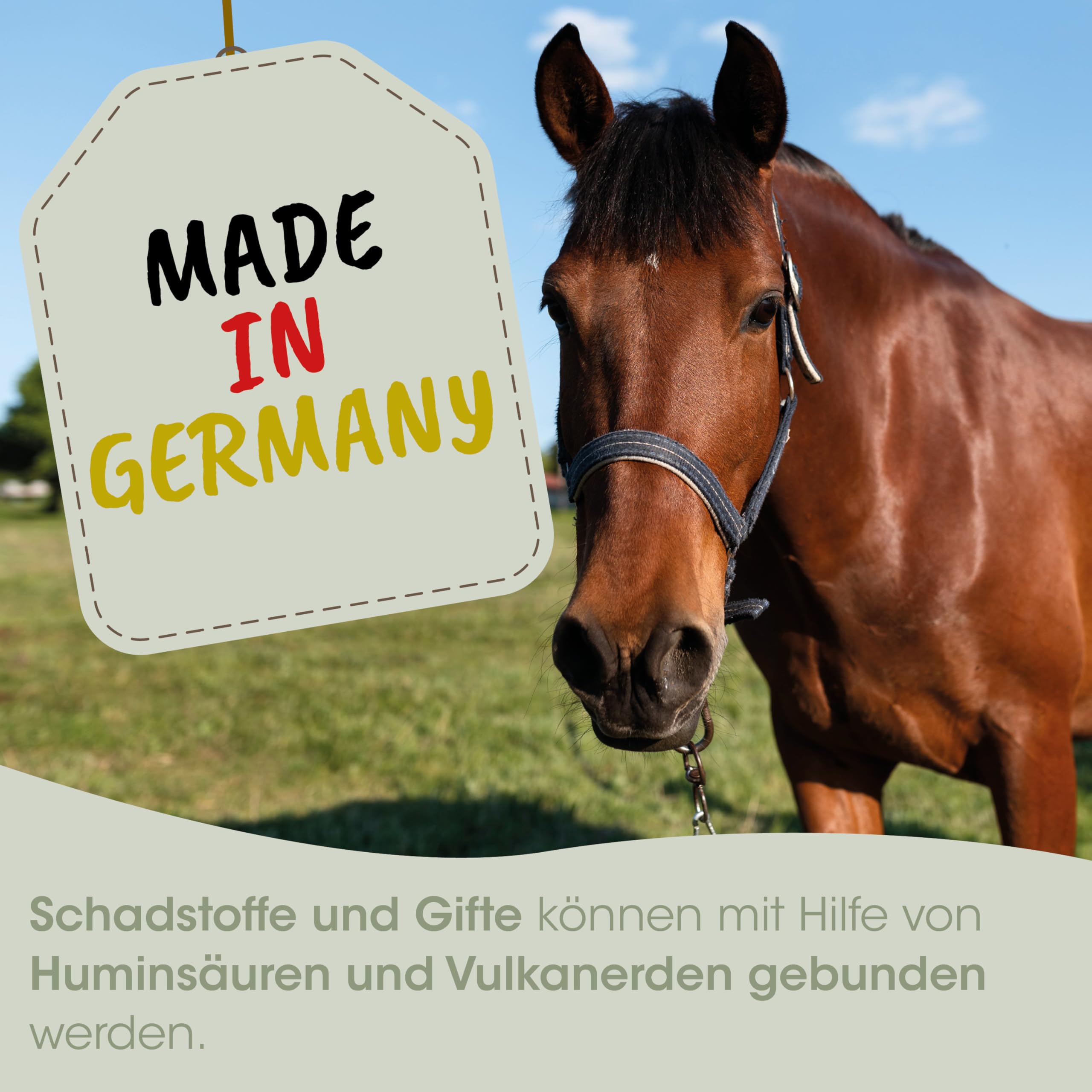 EquiGreen Magenschutz