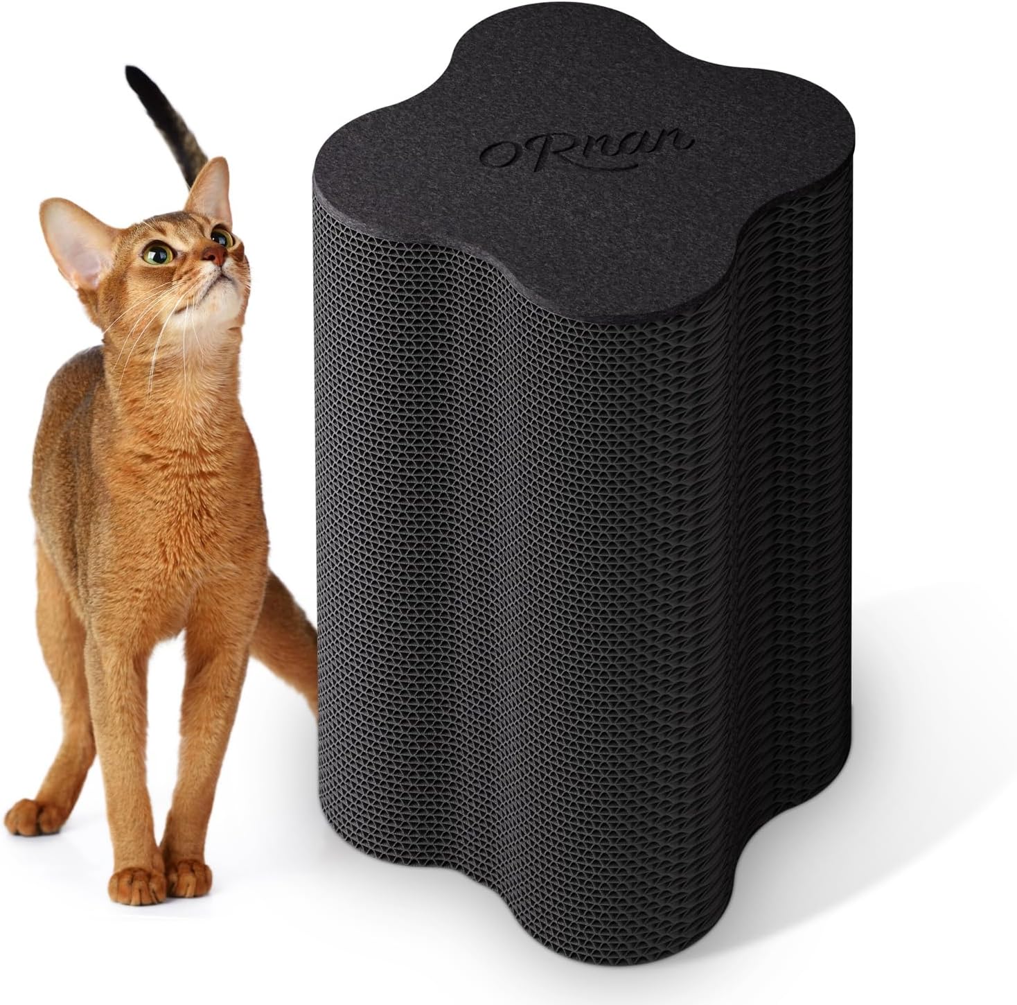 https://m.media-amazon.com/images/I/81LL7r4lGRL._AC_SL1500_.jpg