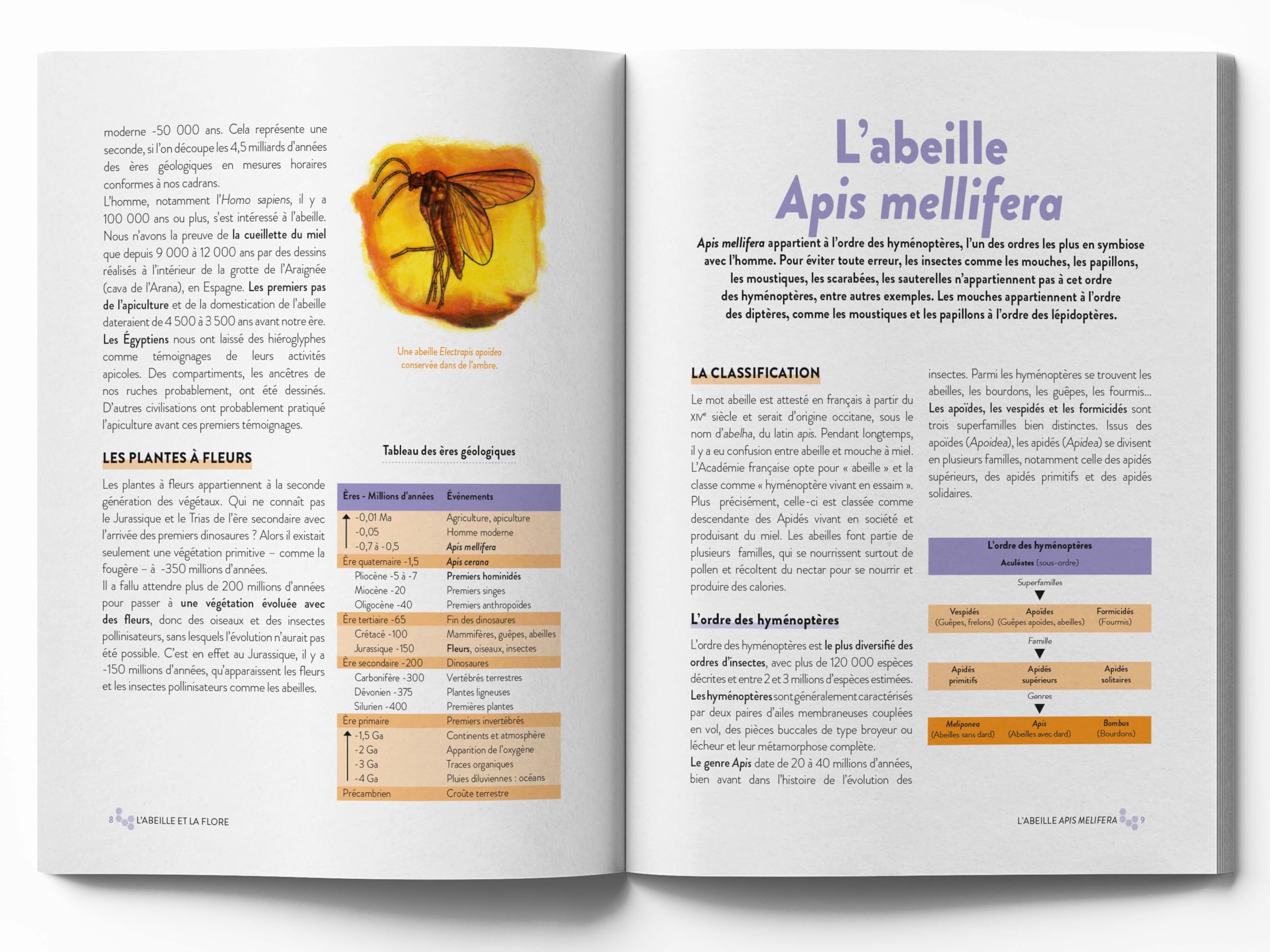 Le grand guide visuel de l'apiculture: Les techniques apicoles pour conduire un rucher