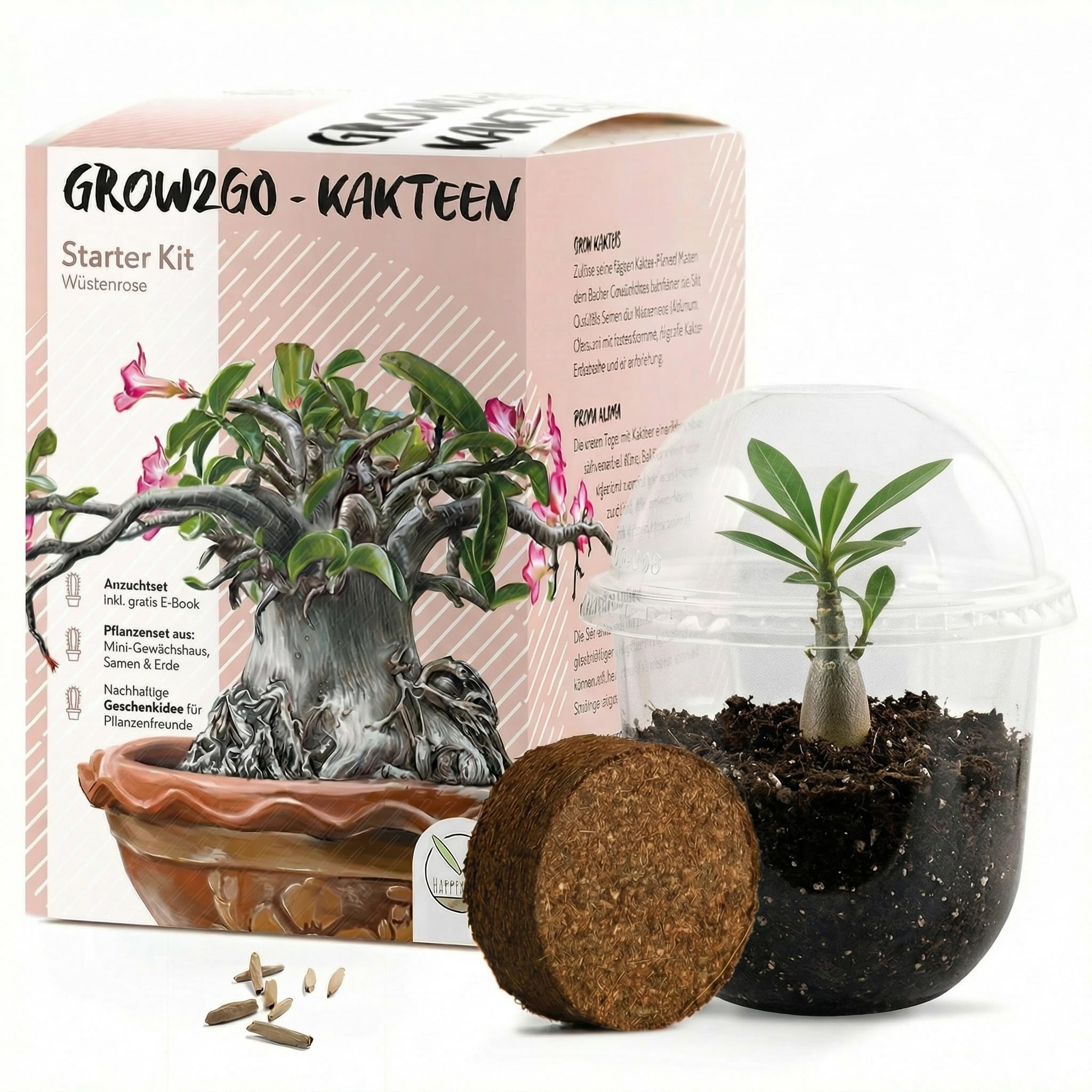 GROW2GO Kakteen Starter Kit Anzuchtset - Pflanzset aus Mini-Gewchshaus,  Kaktus Samen & Erde - nachhaltige Geschenkidee fr Pflanzenfreunde  (Wstenrose) : Amazon.de: Garten