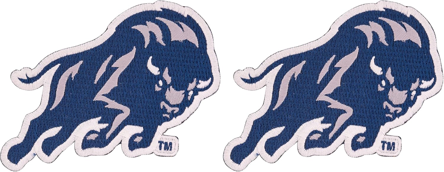 Desert Cactus Howard University Patch – Embroidered Iron On/Sew On Applique for Blazers, Jackets, Backpacks, Bags, Hats & Tactical Gear – Howard Bison (Patch - Design A) (Pack of 2)