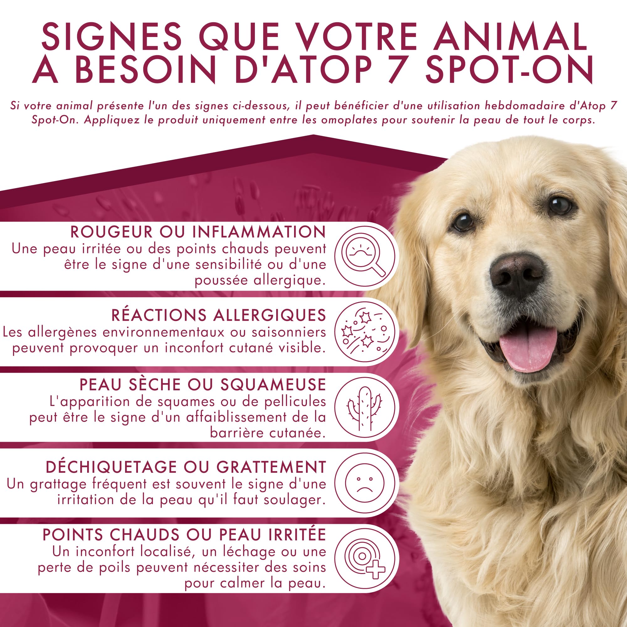 ATOP 7 Spot-on pour Chiens 20–40 kg | Soin Apaisant sans Rinçage | 4 Pipettes x 2,4 ML | Dermoscent