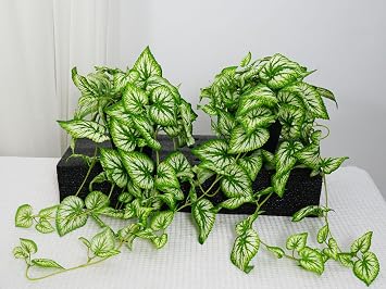 2 Fake Pothos Hanging Plants Artificial Pothos Plant with Pots Faux Hanging Plants Office Decor Low Maintenance Fake Vines Artificial Greenery for Indoor - Green & White