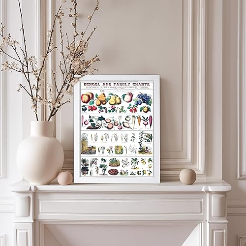 Miniatura 159 de Poster Master Póster vintage de orquídea, estampado de flores retro, arte de pared de plantas exóticas, arte botánico, regalo para hombres y