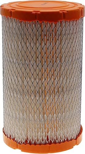 FRAM CA10616, filtro de aire con sello radial de extra protección