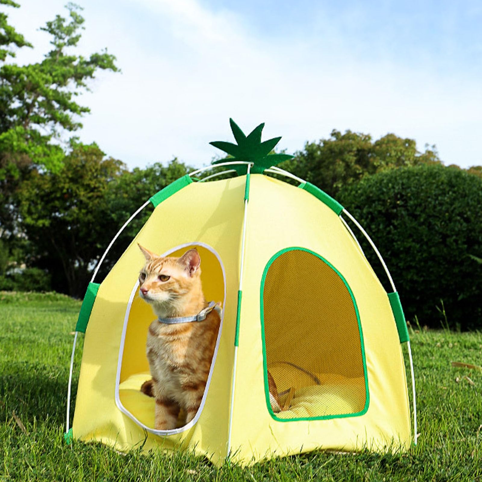 Lit pour Chat Lit pour Chaton Tente pour Chat, Lit pour Animal de Compagnie Triangle Igloo Confortable et Pliable, Maison de Grotte pour Chat en Forme d'ananas avec Coussin Amovible