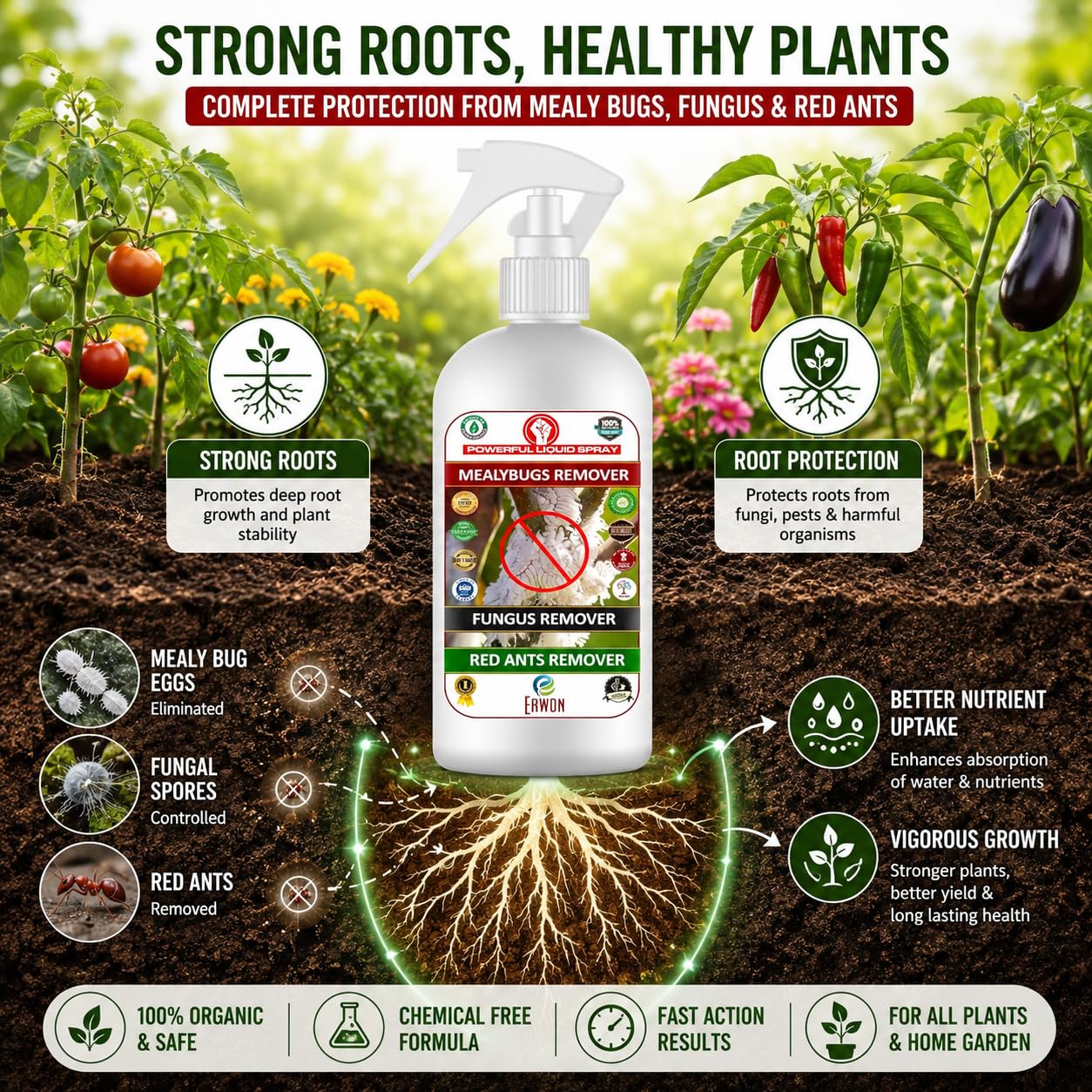 Erwon® Mealy Bug Hunter, Premium Essential Organic Powerful Liquid Spray for Removing Mealy Bugs from Plants. (200 ml) 4