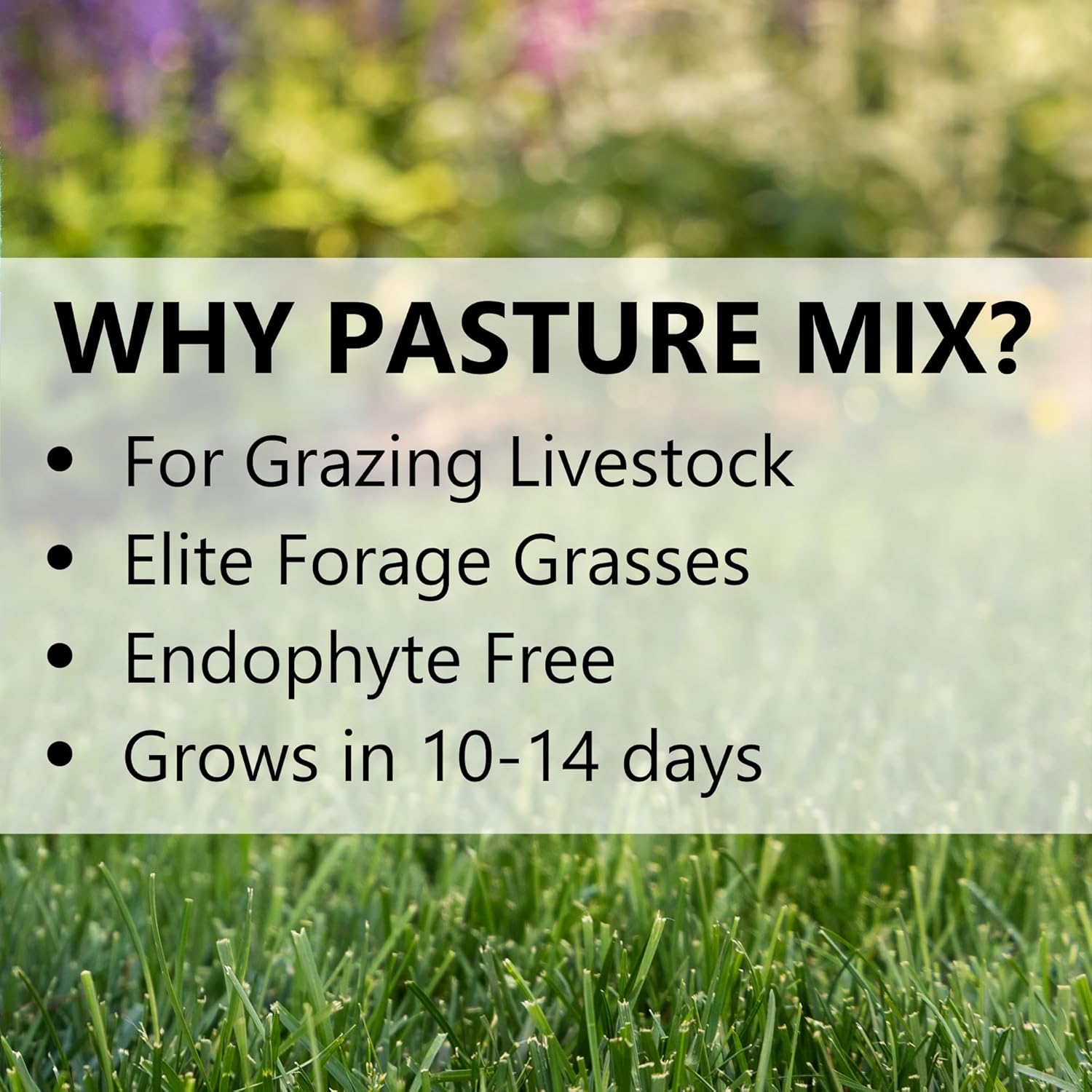 Jonathan Green (11621) Pasture Grass Mixture - Cool Season Lawn Seed (25 lb)