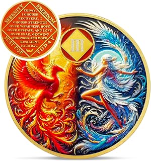 Phoenix Fairy 3 Year Na Medallions - Sun and Moon Sobriety Coin - One Year Recovery Addiction Token - Celebrate Clean and Sober Chip - 0-10 Prime Narcotics Anonymous Gifts for Men Women