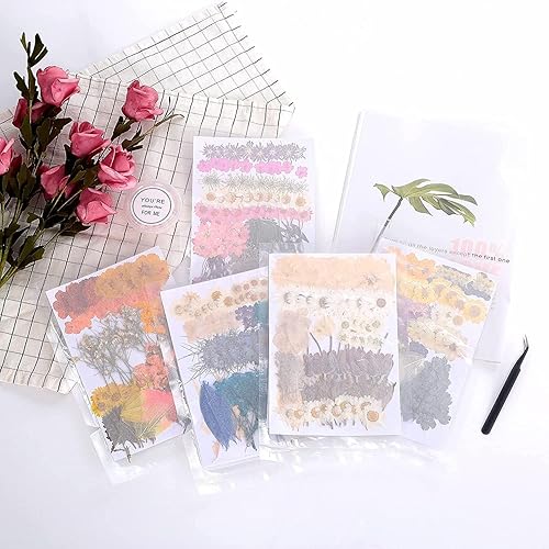 Miniatura 20 de 100 piezas de hojas verdes prensadas secas reales, herbario de plantas naturales para bricolaje, moldes de resina, fabricación de joyas