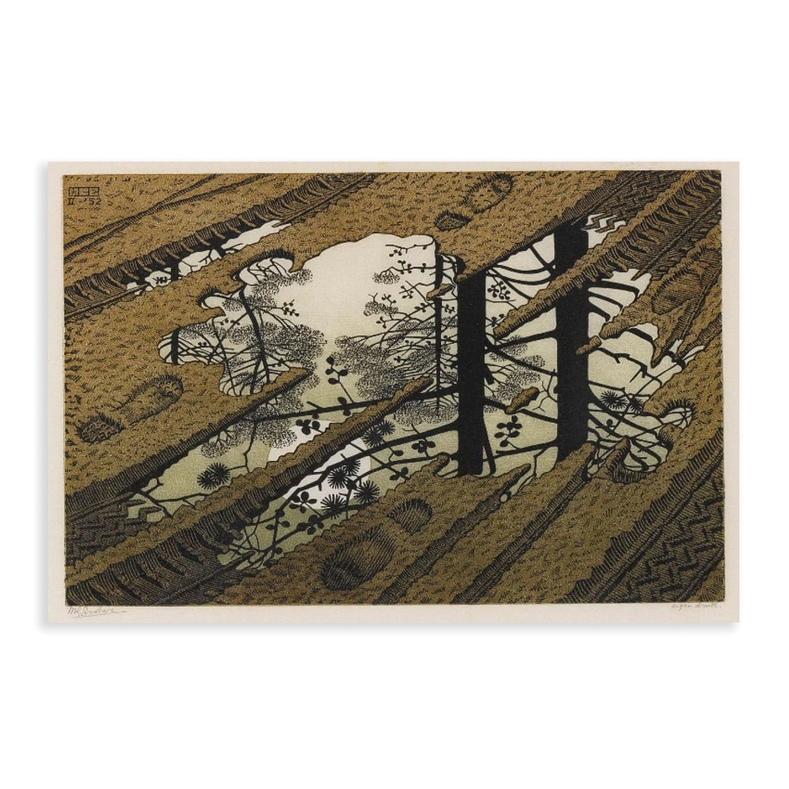 WCYB Puddle 1952 by Maurits Cornelis Escher Posters Prints Canvas Deco Paintings Wall Art Unframe 16" L X 24" W