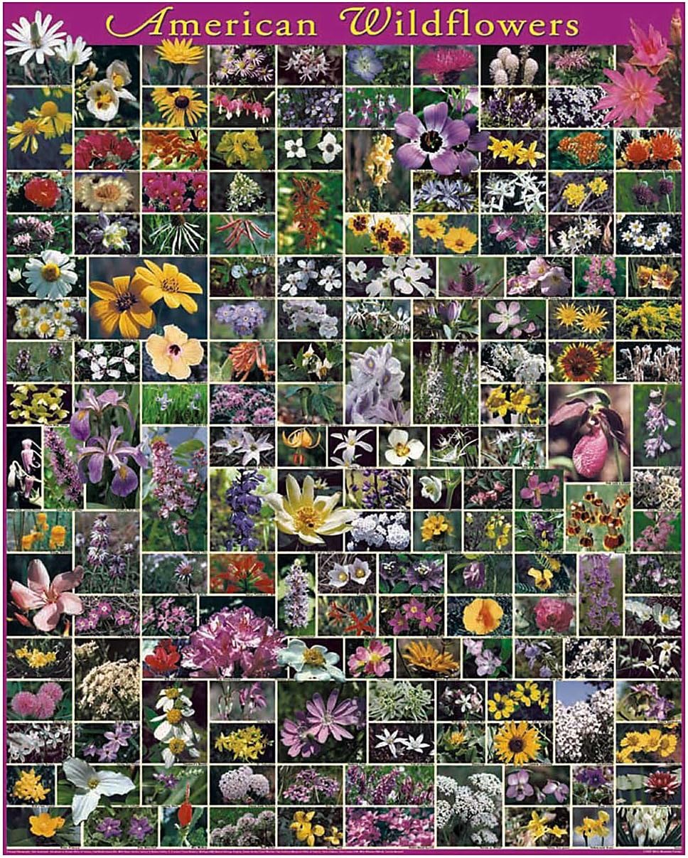 White Mountain Puzzles American Wildflowers