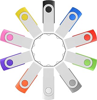 Enfain Vibrant 10-Pack of 2GB USB 2.0 Multicolor Swivel Flash Drives - Portable Thumb Drives with 12 White Labels for Customized Marking and Easy Organization