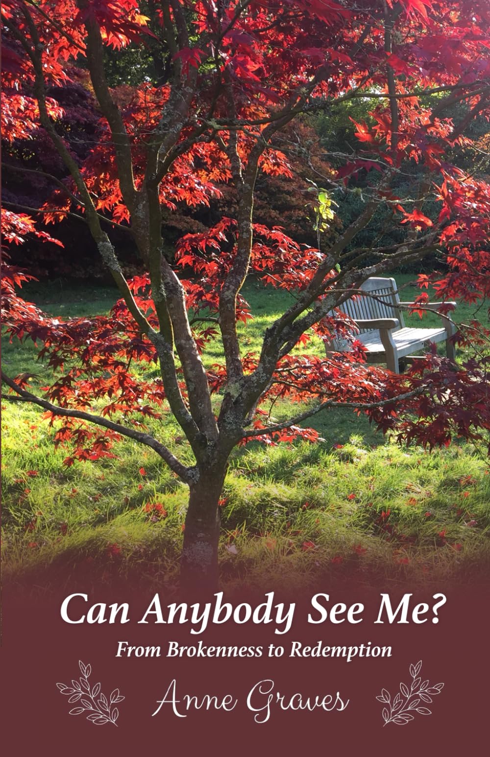 Can Anybody See Me?: From Brokenness to Redemption