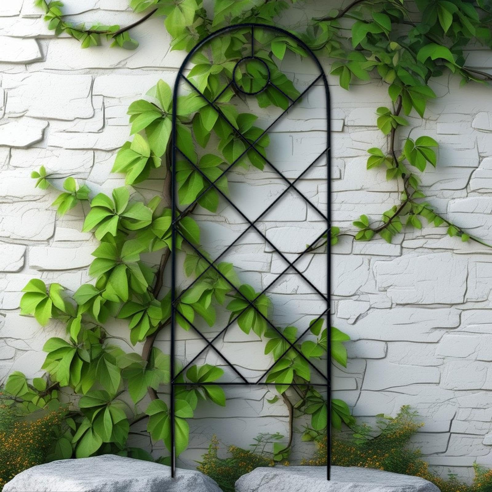 Treillis en métal pour plantes grimpantes - Extérieur et intérieur - Revêtement antirouille noir robuste - 57 x 20 cm