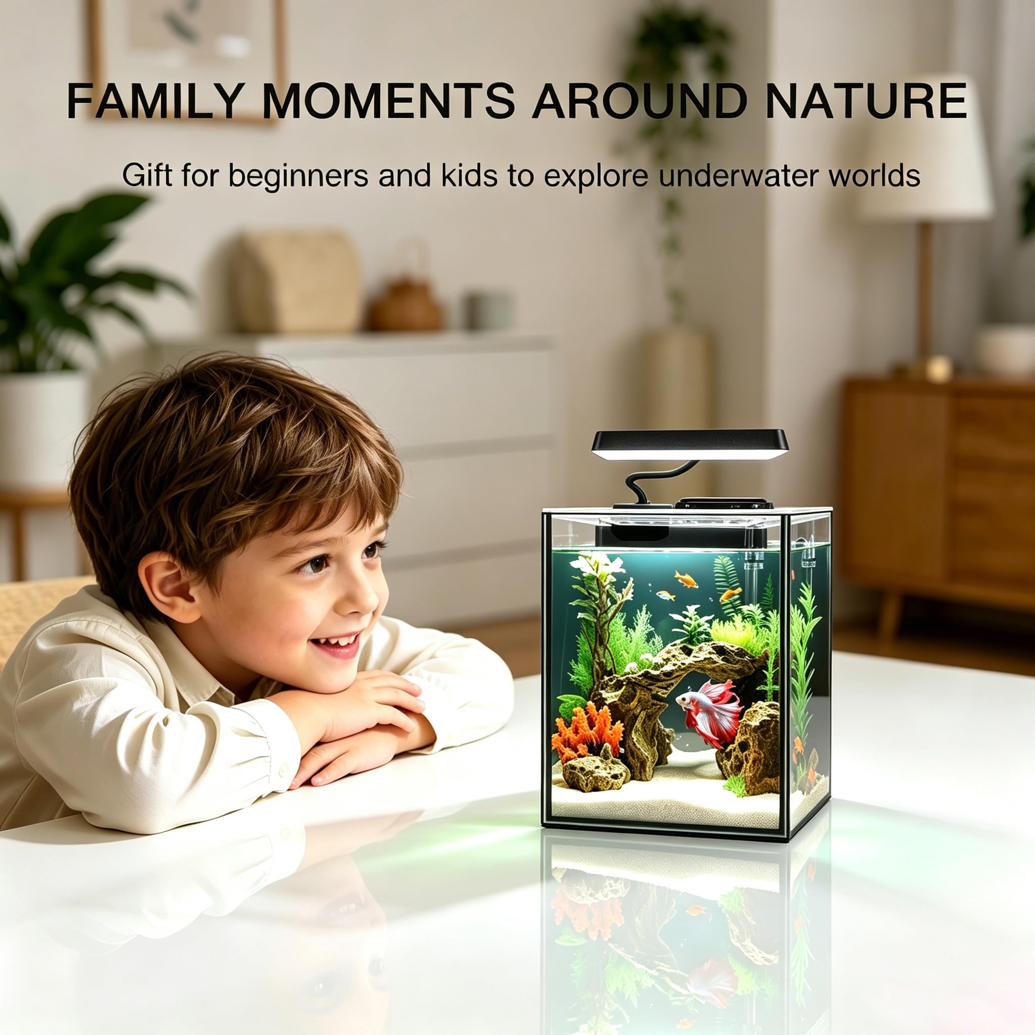 Kit de démarrage en Verre pour Aquarium Betta Petit Aquarium avec lumière LED, Filtre d'alimentation, Noir. Verre de 4 mm