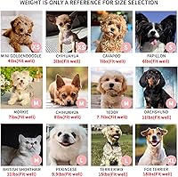 Vista 5 de Arnés Step-in para perro para perros pequeños, arnés y correa sin tirones, arnés reflectante ajustable con malla suave para cachorros pequeños