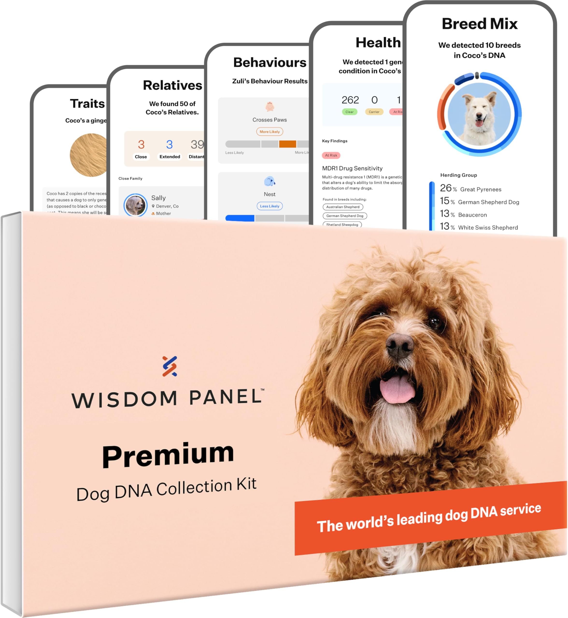 Panel Premium: Most Comprehensive Dog DNA Test for 260+ Health Tests | Accurate Breed ID and Ancestry | Traits | Relatives | Behaviours | Vet Consult