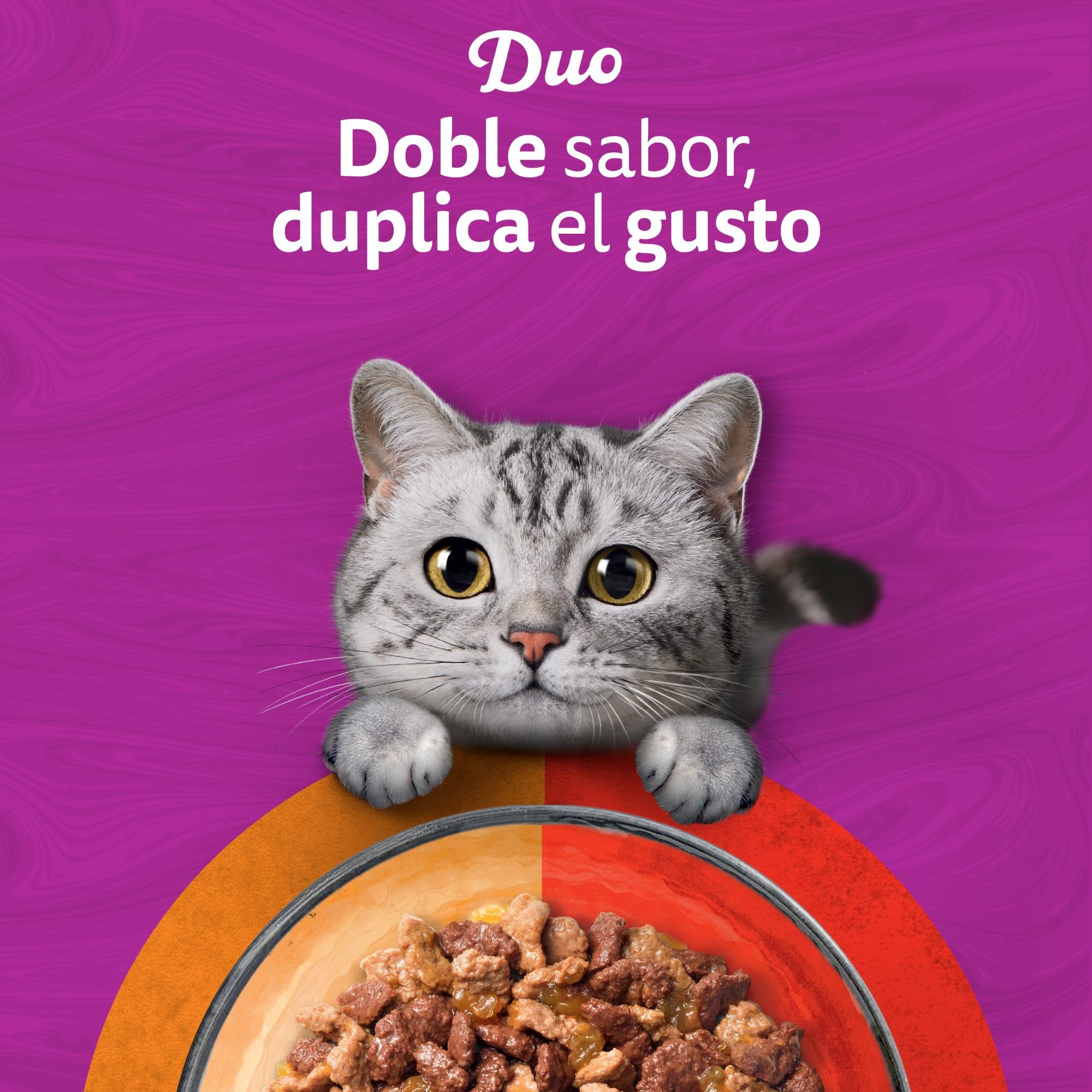 WHISKAS® Duo Comida húmeda en gelatina Gatos Adultos 4x85 g Comb. Clásicas (Paquete de 13) 52 Sobres