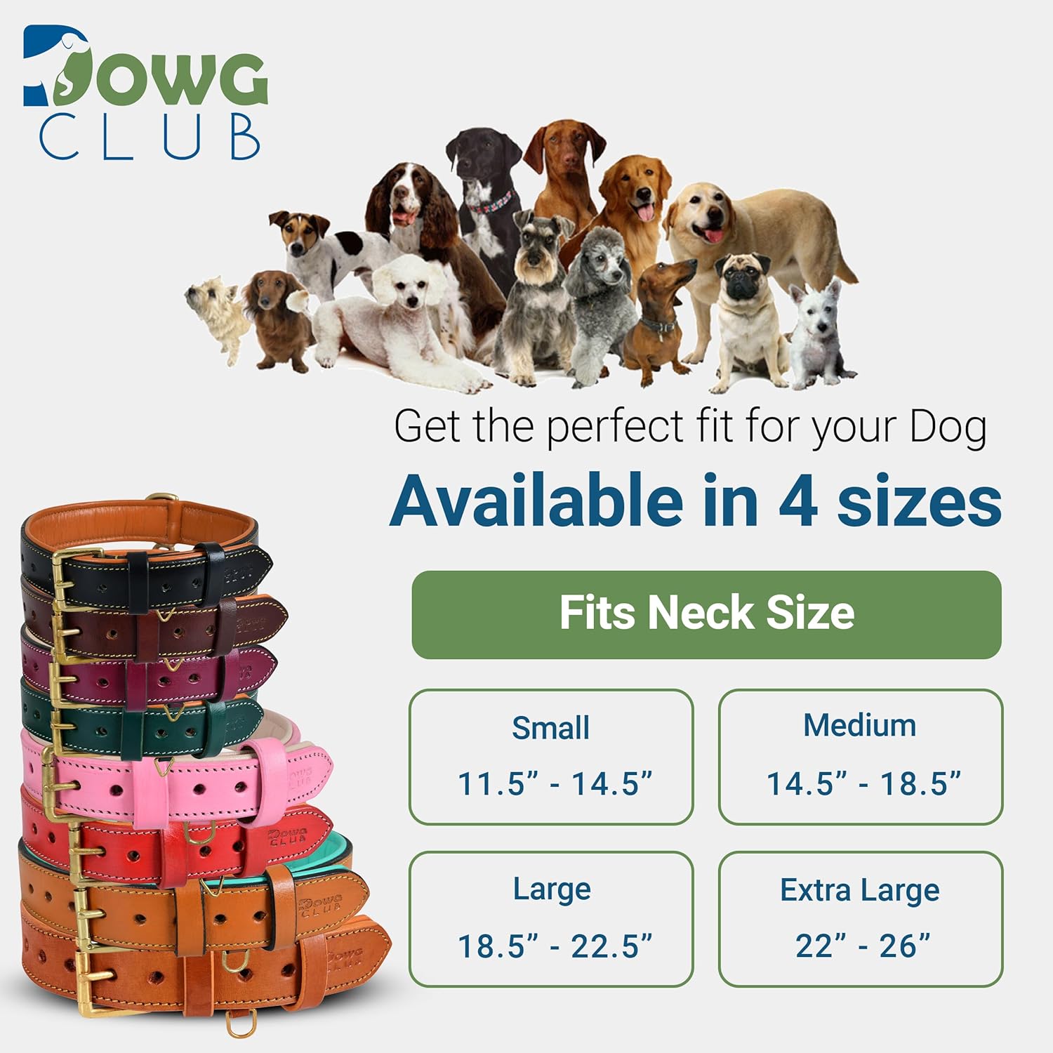 Genuine Leather Dog Collar – Full Grain, Breathable Inner Padding, Padded Buckle – Heavy Duty, Adjustable for Small, Medium, Large & XL Breeds (Dark Brown, M (Fit Neck Size 14.5"-18.5"))