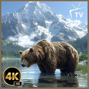 Waldbär Calm Einschlafhilfe für friedliche Entspannung