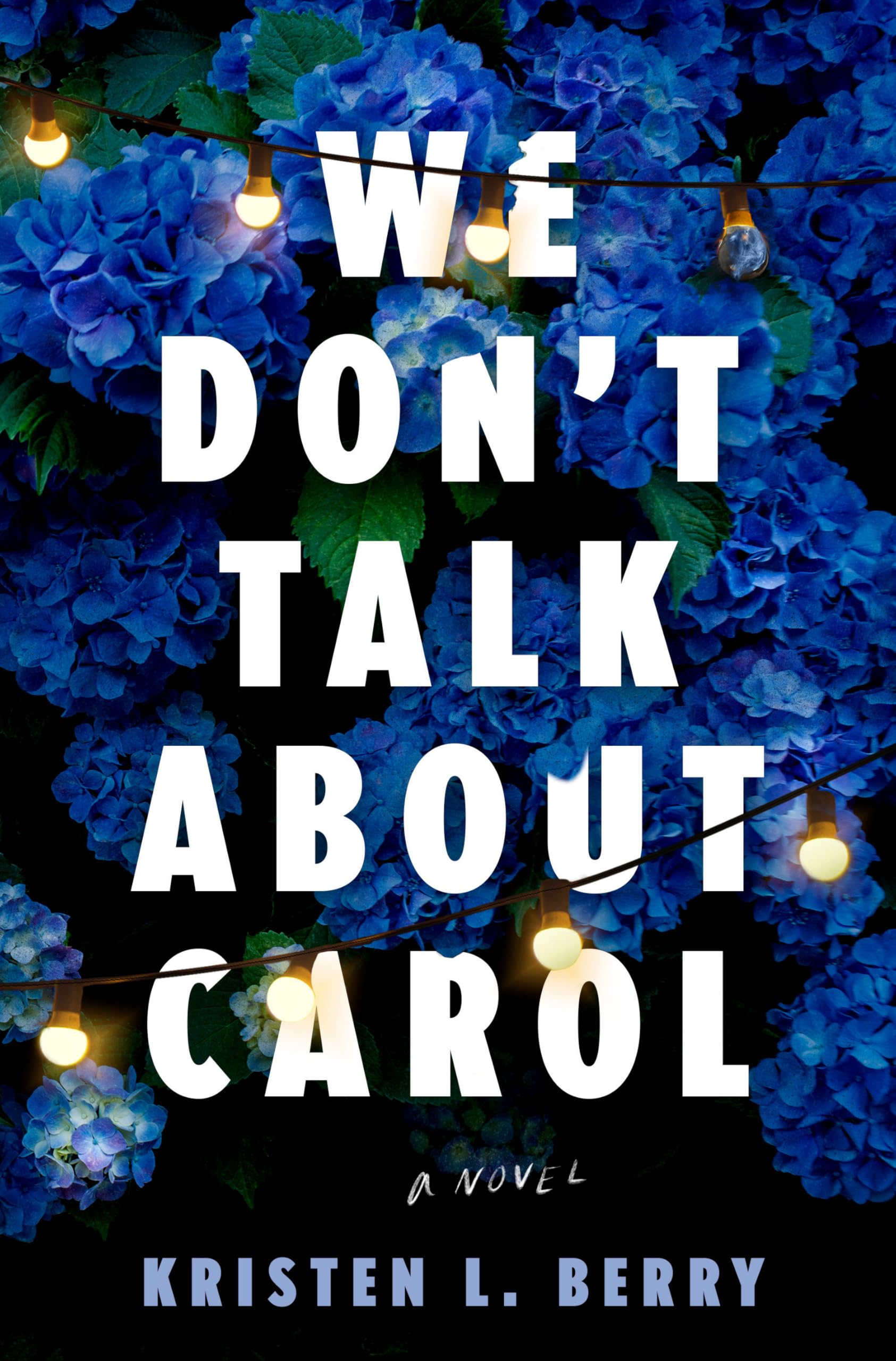 We Don't Talk About Carol A Novel by Kristen L. Berry (Hardback Book)