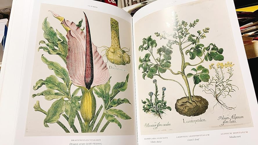 Buy Basilius Besler. Florilegium. The Book of Plants Book Online
